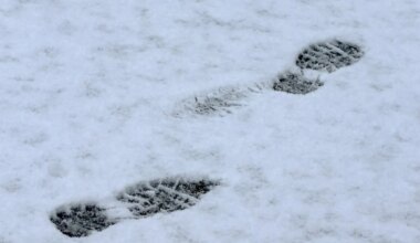 Ilm muutub talviseks ja sajab lund