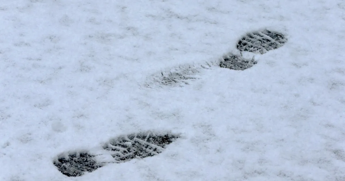 Ilm muutub talviseks ja sajab lund