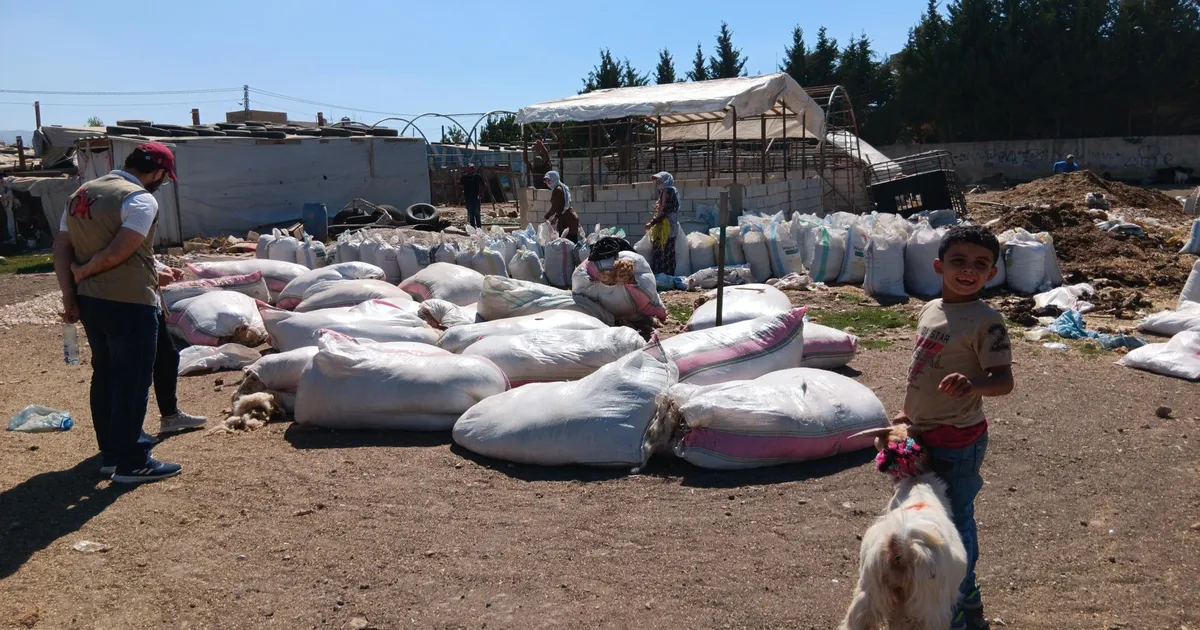 REPORTAAŽ ⟩ Liibanon saadab 1,5 miljonit Süüria pagulast riigist välja tundmatusse