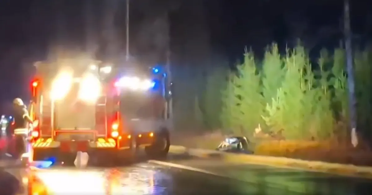 VIDEO ⟩ Tallinn-Narva maanteel põrkas auto põdraga kokku