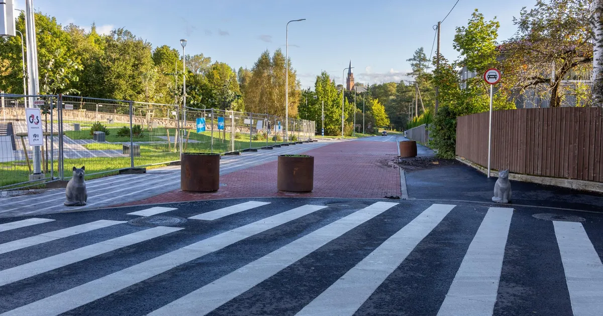 DITMAR MARTINSON ⟩ Otsustega ei maksa kiirustada - Sakala