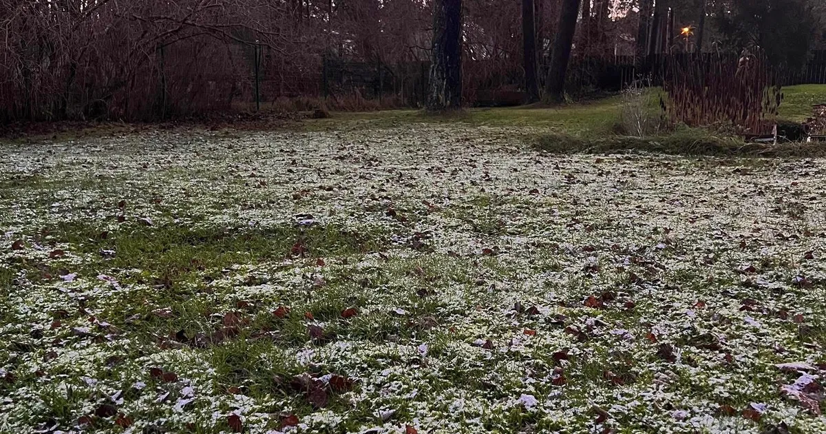 KLÕPS ⟩ Tali tuleb! Pealinnas oli hommikul kohati juba maa valge