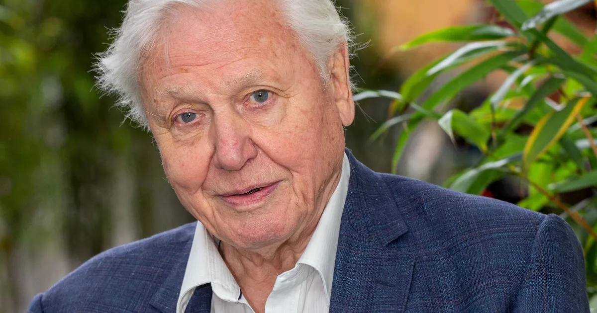Sir David Attenborough usub, et tema vitaalsuse saladus peitub taldrikul