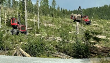 NOMINENT ⟩ RTR Investment lõikab edu Rootsi metsades - Sakala