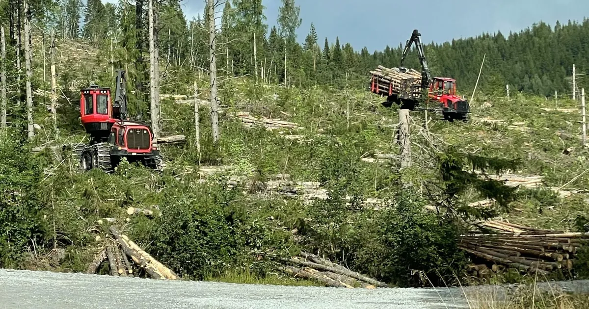 NOMINENT ⟩ RTR Investment lõikab edu Rootsi metsades - Sakala