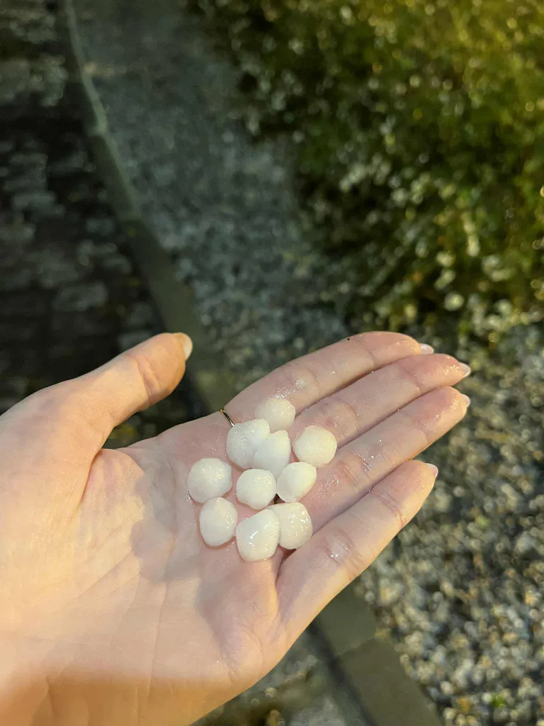 Rahesadu Tallinnas 14.11.2025