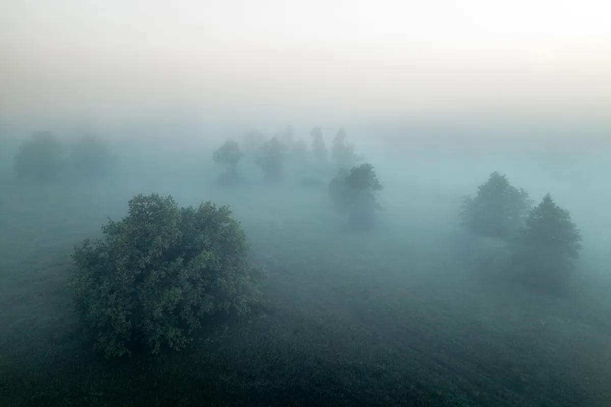 PuisLIFE-i auhind pärandit hoidva puisniidu foto eest –