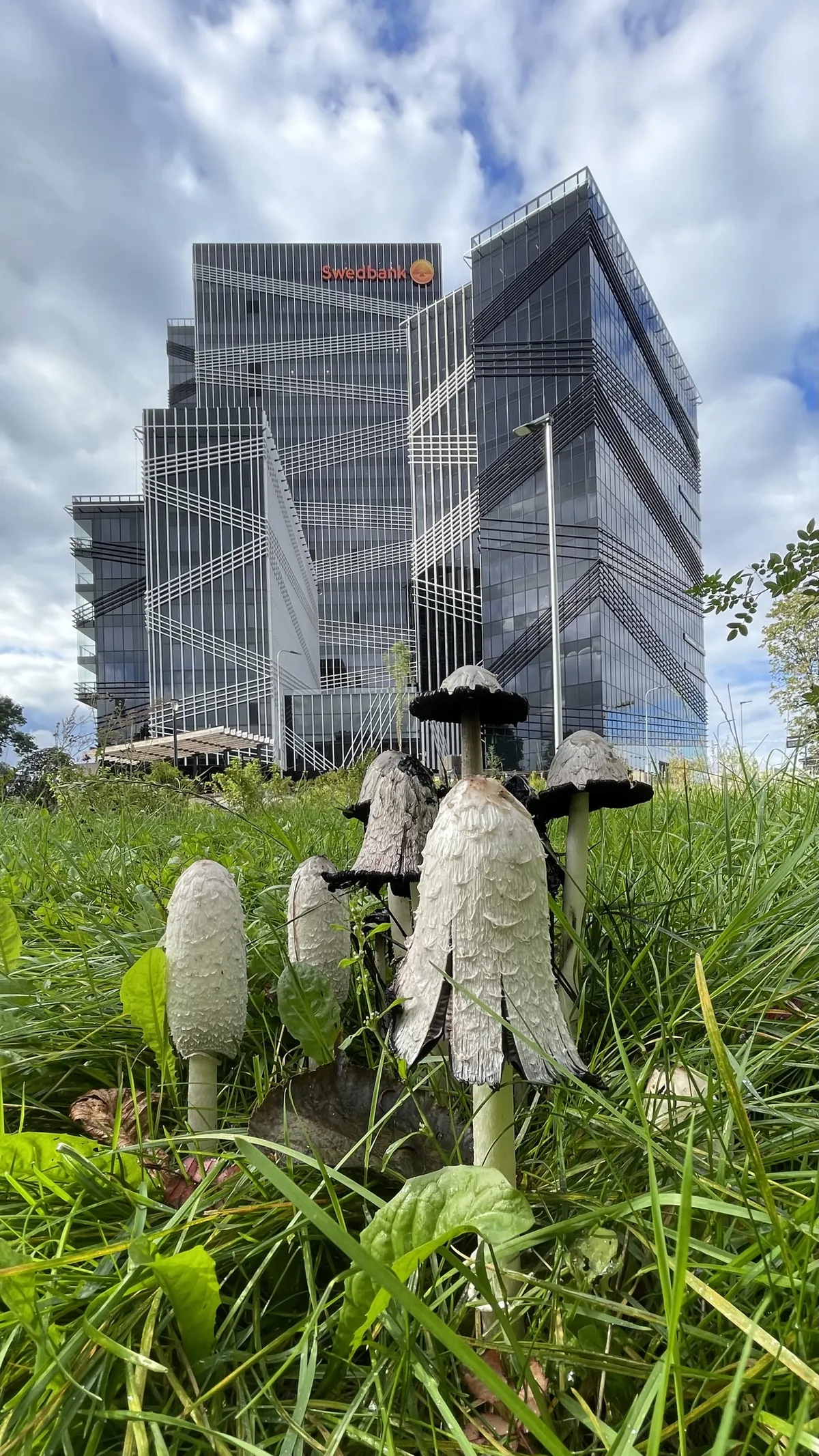 Eesti Looduse auhind.