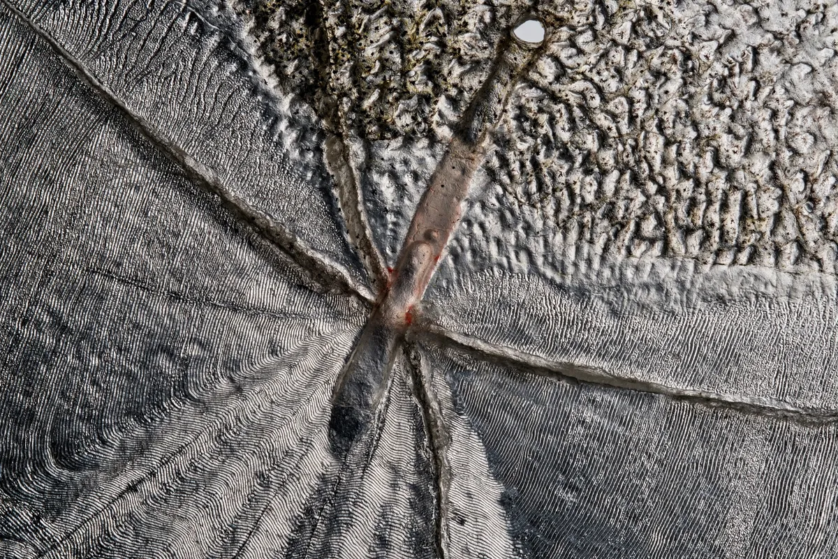 Horisondi auhind –