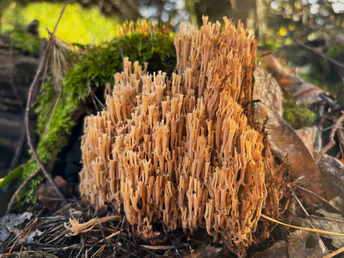 Seenefotode 1. auhind noorte kategoorias.