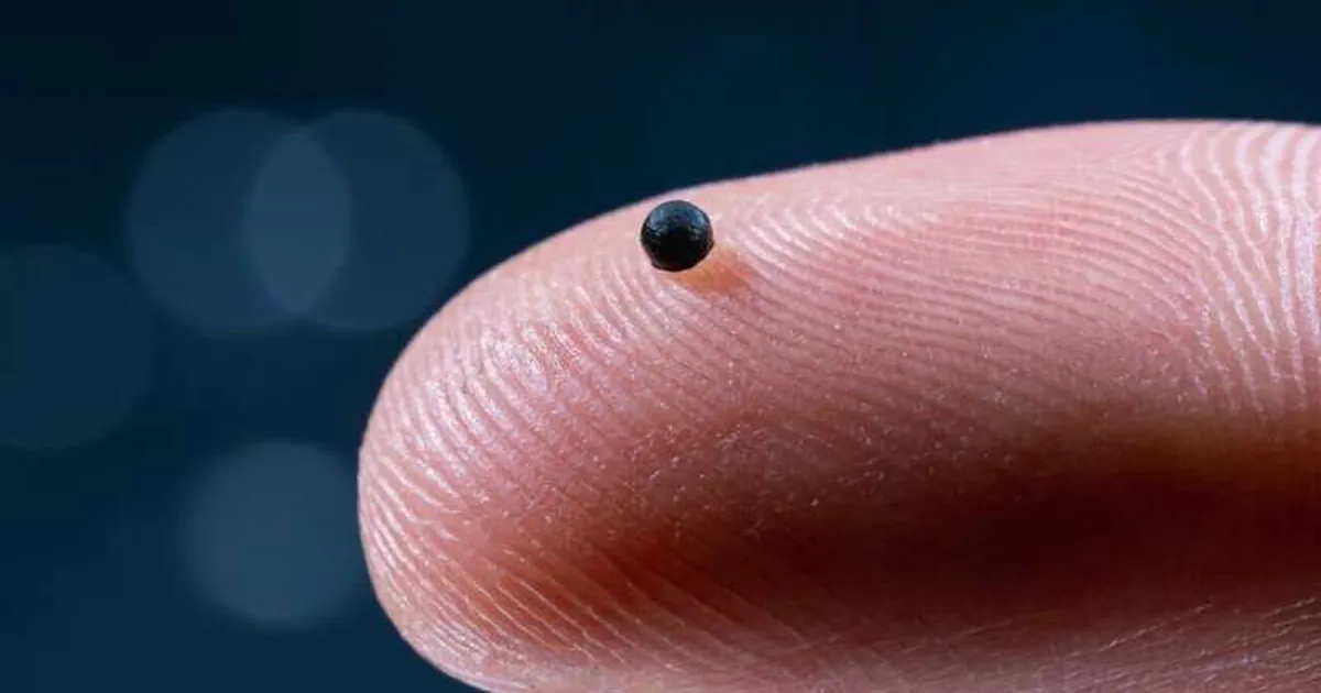 Teadlased lõid veresoontes liikuva roboti, mis võib päästa miljoneid elusid