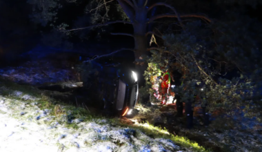 Joobes autojuht sõitis öösel vastu puud