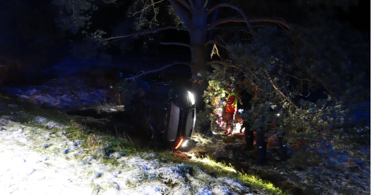 Joobes autojuht sõitis öösel vastu puud