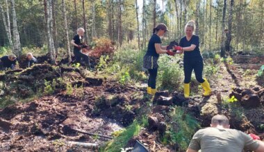 Pääsküla raba käis tänavu taastamas üle saja vabatahtliku
