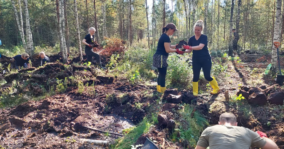 Pääsküla raba käis tänavu taastamas üle saja vabatahtliku