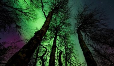 NÄDALAPROGNOOS ⟩ Nädala teine pool võib kujuneda väga ettearvamatuks ja tormiseks