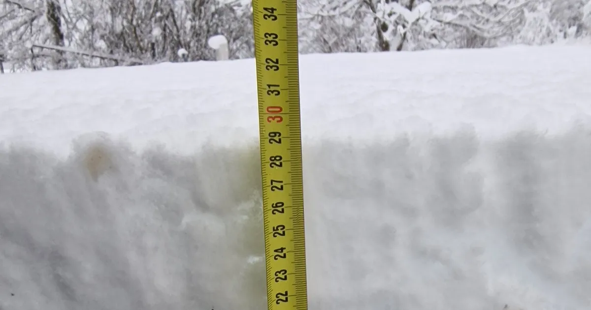 KLÕPSUD ⟩ «Normull talv sai hoo sisse!» Osa Eestist kattus paksu lumevaibaga, pealinnas pole kübetki