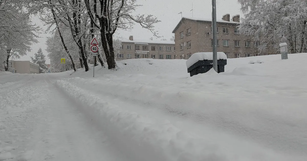 Toila upub lumme, vald otsib hädakorras lumelükkajaid