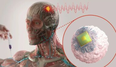 teadlaste uued küborg-verelibled liiguvad ajju seestpoolt