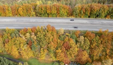 Saksamaal leiti maanteelt noore ema maha lõigatud käed