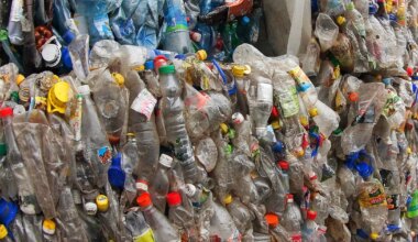 Narva rajatakse plastijäätmete ümbertöötlemise tehas