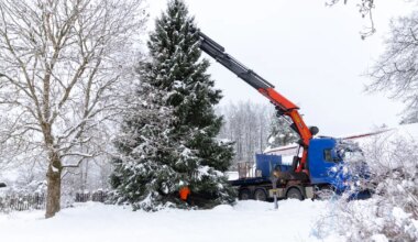 SÜDAMLIK HÜVASTIJÄTT ⟩ Koppeli pere kuusk asus Nõmmise külast Rakvere poole teele