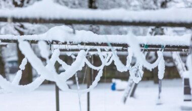 Homme sajab lund ja lörtsi
