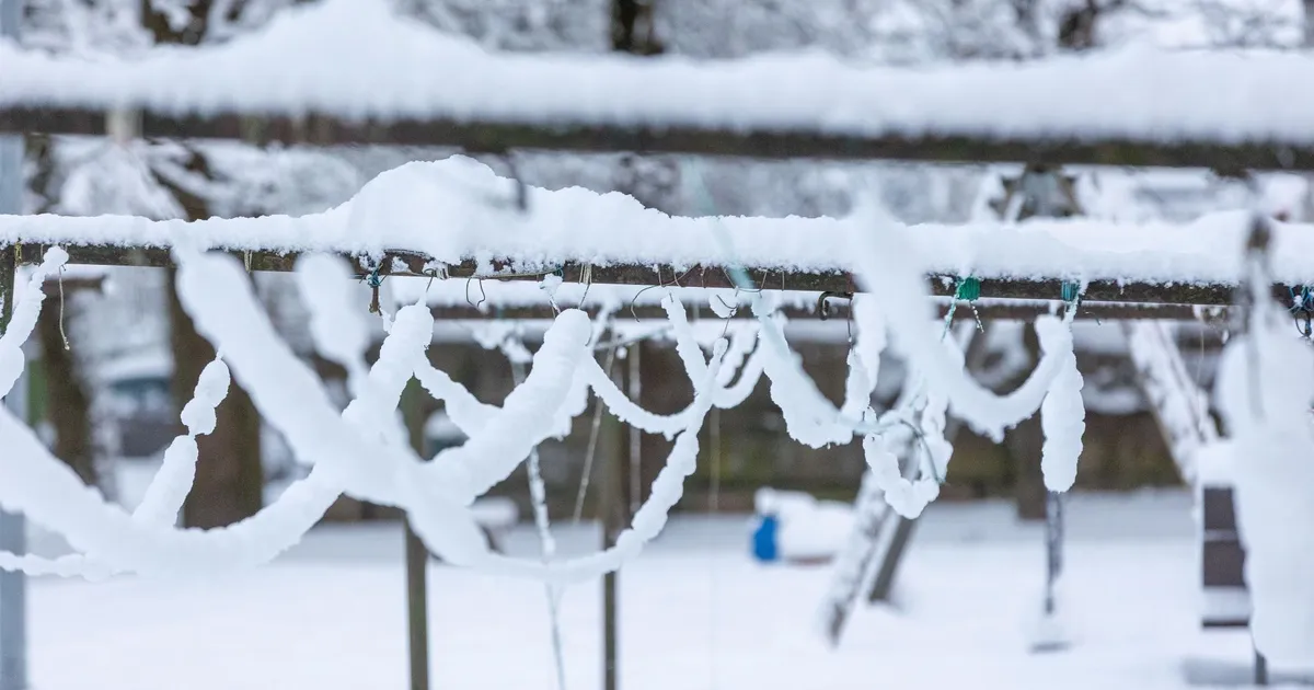 Homme sajab lund ja lörtsi