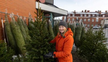 Aiand lõpetab pärast pikki aastaid jõulupuude müügi