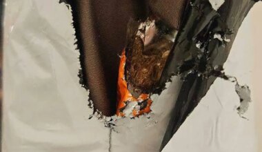 Viljandi ettevõtte saadetud pakk langes närilise saagiks. "Uskumatu lugu!"