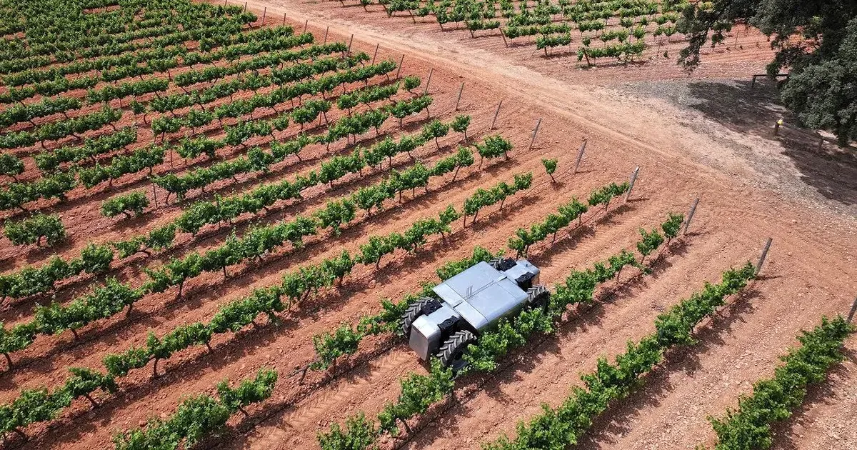 See robot rändab viinamarjaistandusest otse Ukraina miiniväljadele koristustöid tegema