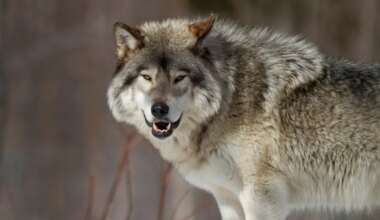 see veretöö toimus praktiliselt mu kõrval