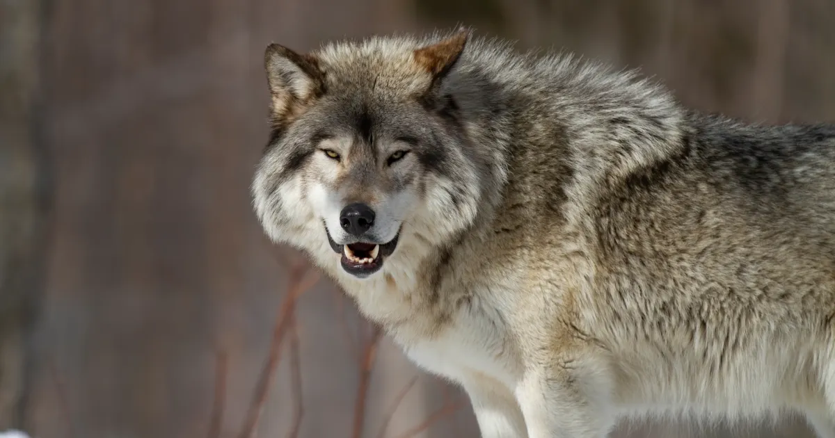 see veretöö toimus praktiliselt mu kõrval