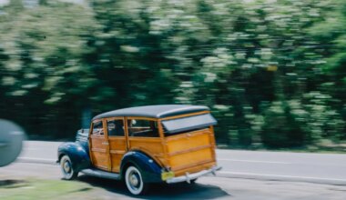 PUUST JA SINISEKS ⟩ Vana Ford ei roosteta