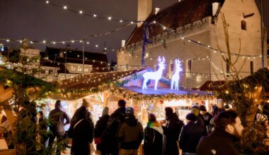 vaata, mida huvitavat pakutakse Tallinna jõuluturul