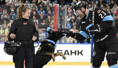 VIDEO ⟩ Politseikoer hammustas Venemaa jäähokimängijaid