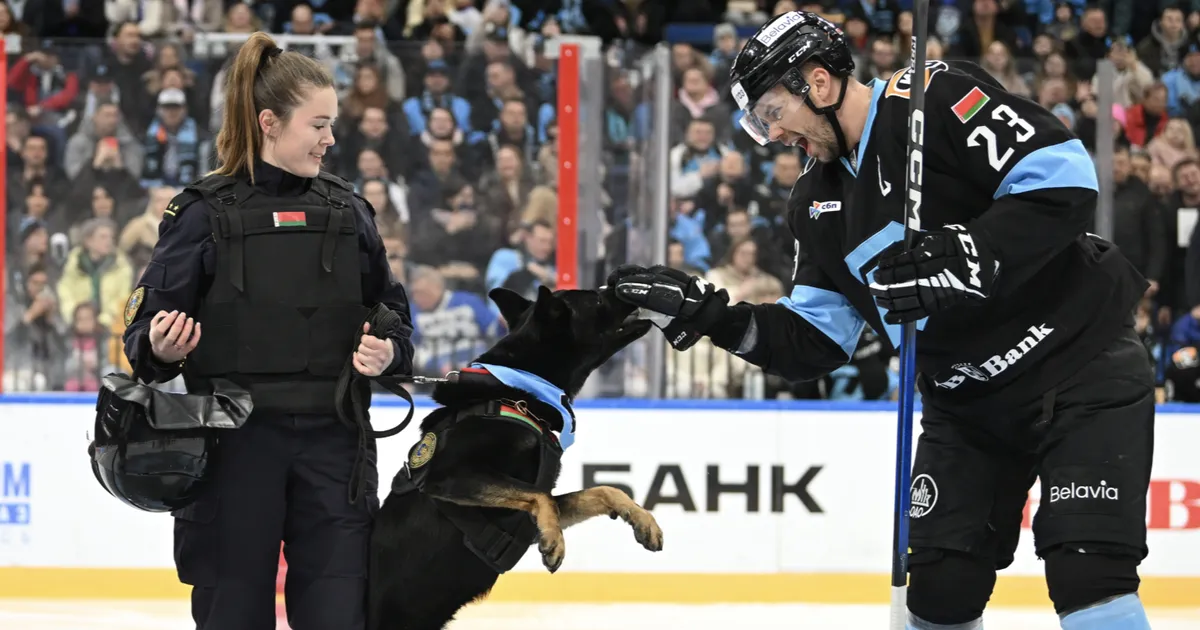 VIDEO ⟩ Politseikoer hammustas Venemaa jäähokimängijaid