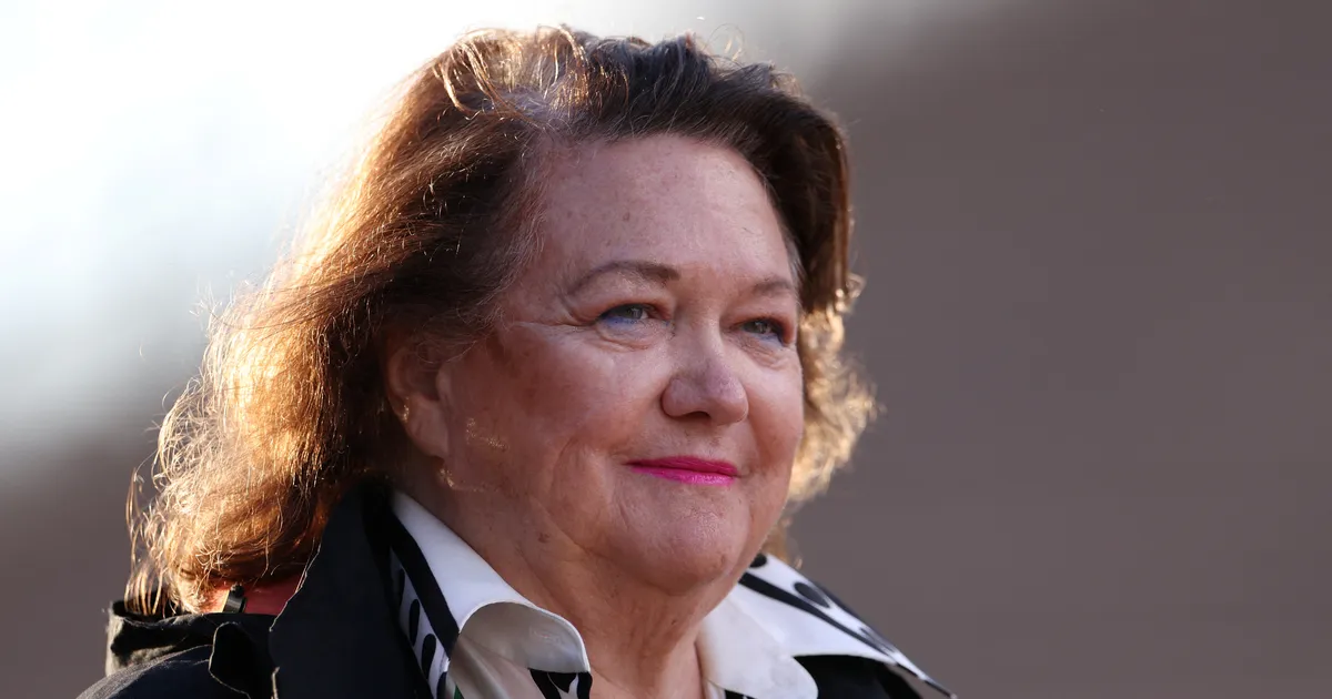 Värvika ütlemisega Austraalia rikkaim inimene suurendab muldmetallide panust