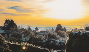 Veevalaja energiatase on väga kõrge, Jääral soodne aeg vaimse töö tegemiseks