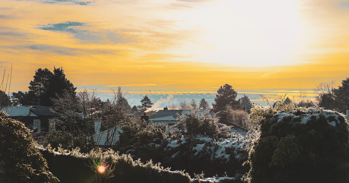 Veevalaja energiatase on väga kõrge, Jääral soodne aeg vaimse töö tegemiseks