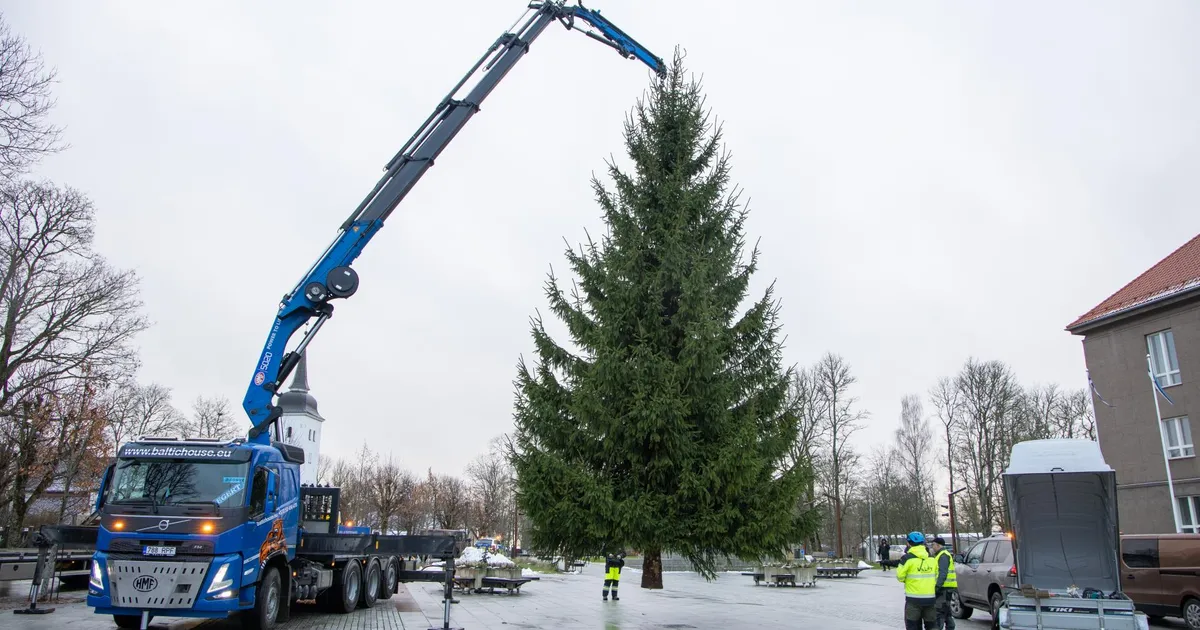 Viljandi jõulukuusk sai paika