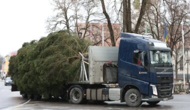 GALERII ⟩ Jõulupuu jõudis linna