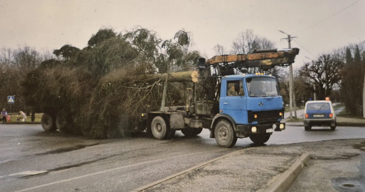 25 AASTAT TAGASI ⟩ Kui Türile toodi jõulupuu
