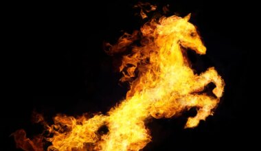 SISSEJUHATUS UUDE AASTASSE ⟩ 2026 toob meeletult kiireid arenguid