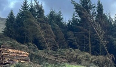 Eestlased aitavad iirlastel toime tulla enneolematute tormikahjudega