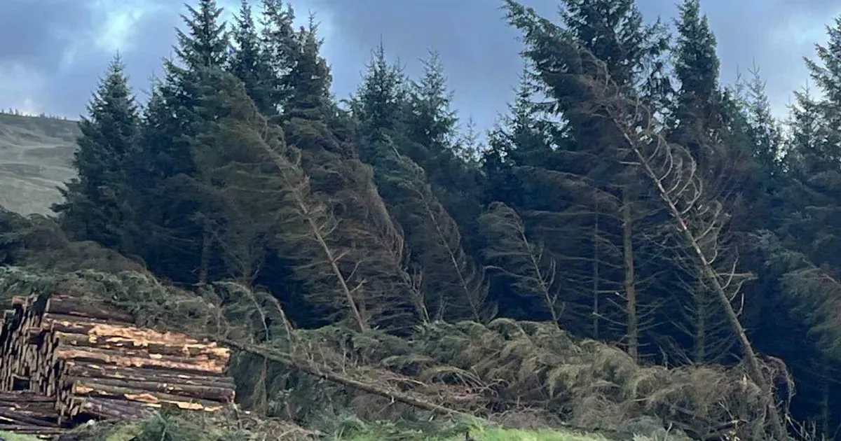 Eestlased aitavad iirlastel toime tulla enneolematute tormikahjudega