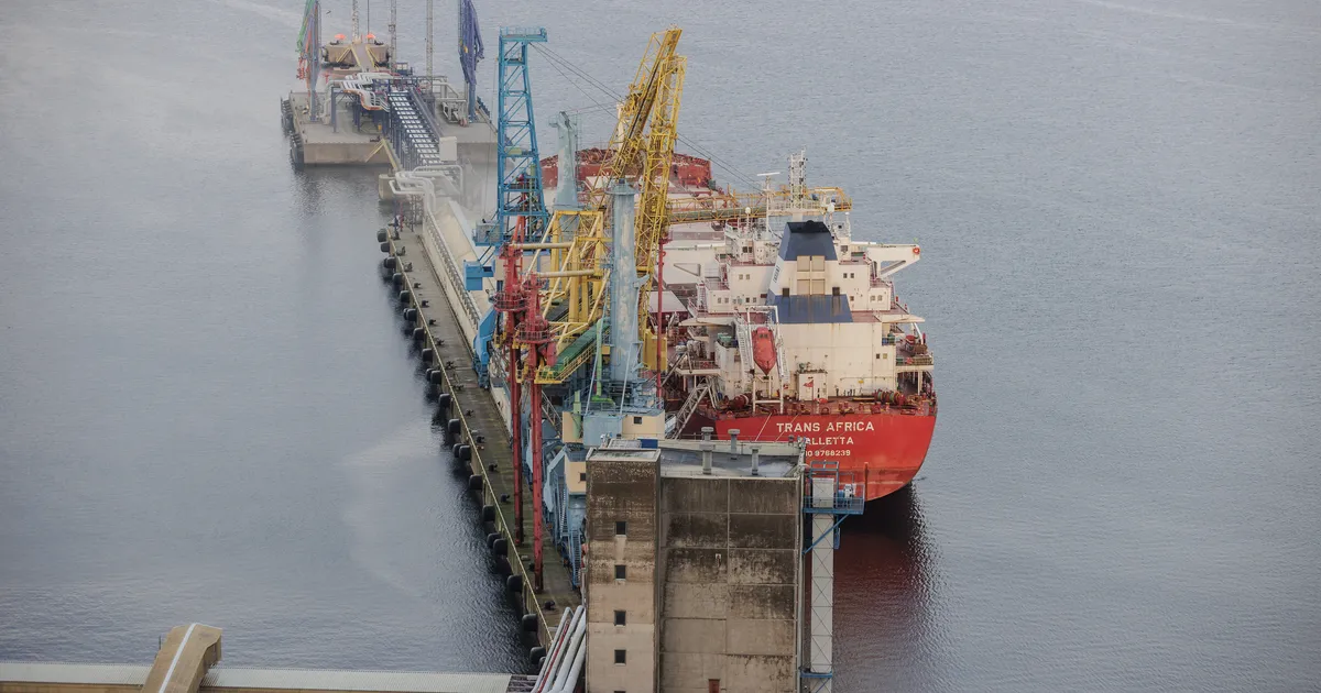 GALERII ⟩ Eestist läheb teele lähiajaloo suurim viljalast