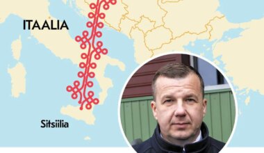 Mulgi vallavanem sõidab valla rahanappuse kiuste Sitsiiliasse, Viljandi vallavanemat reisile ei lubata