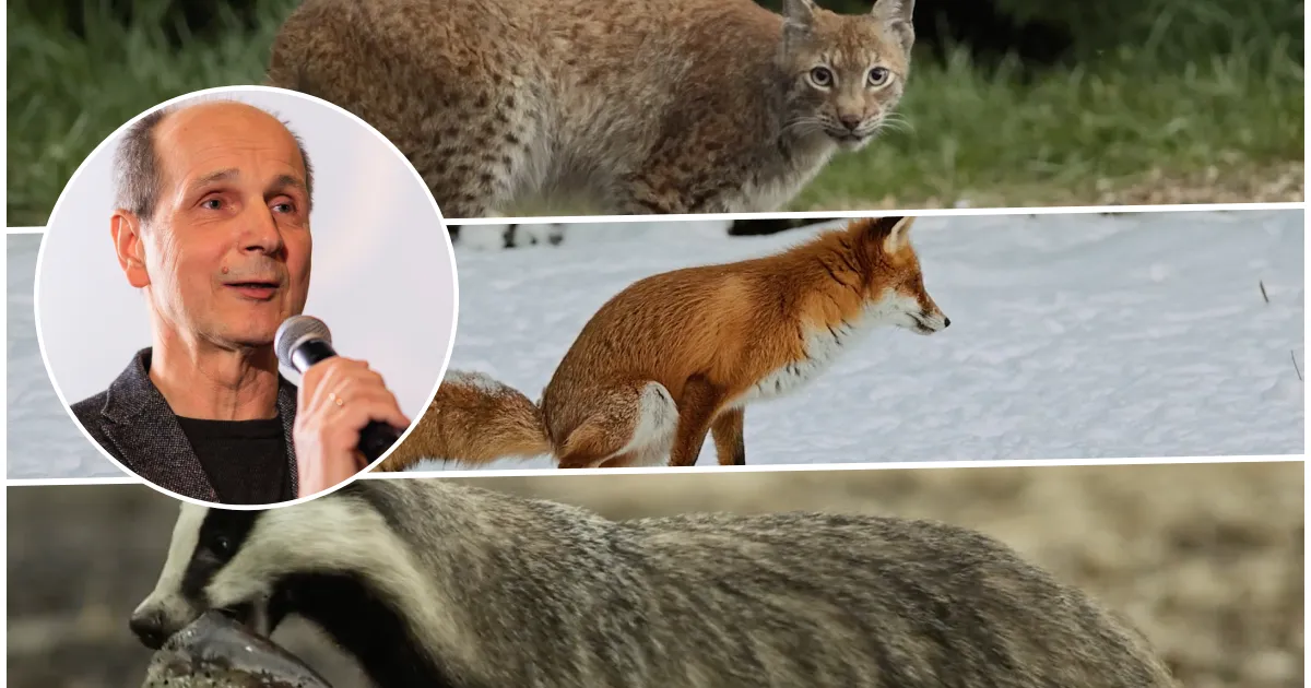 sain mõnusa kotka- ja karukogemuse kätte