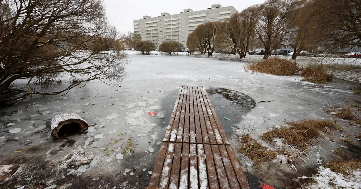 Annelinnas vajus teise klassi laps läbi tiigi jää